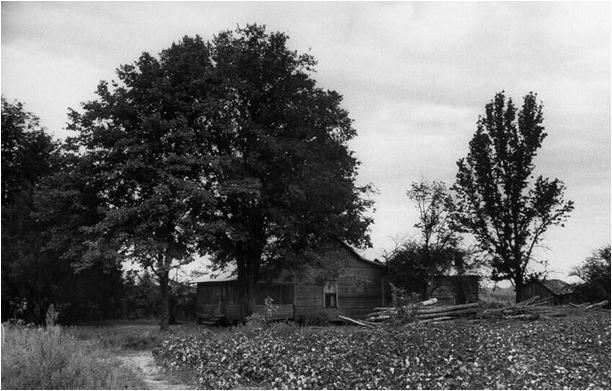 Remembering Emmett Till
