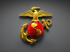 Who Are the Marines